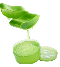 Aloe vera – a természet bőrnyugtató ereje