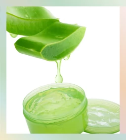 Aloe vera – a természet bőrnyugtató ereje